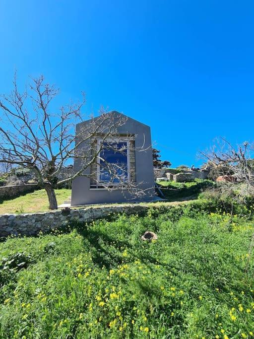 Hidden Gem Of 1900, 7Km From Sea Villa Potamos  Exterior foto