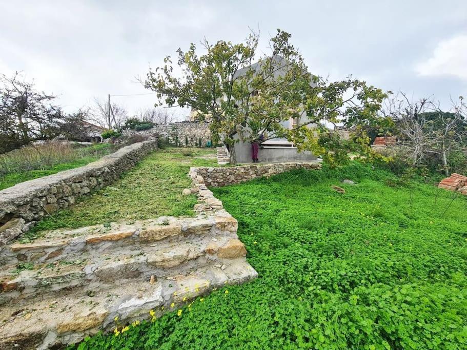 Hidden Gem Of 1900, 7Km From Sea Villa Potamos  Exterior foto